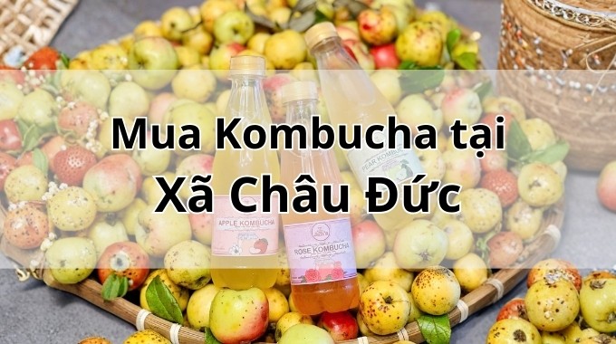 Top 5 địa chỉ bán Kombucha uy tín tại Xã Châu Đức TpHCM