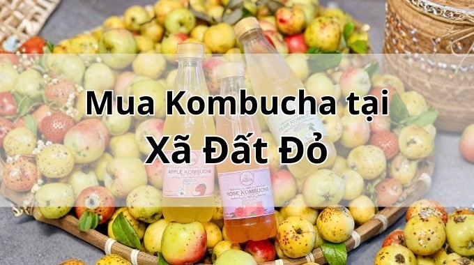 Top 5 địa chỉ bán Kombucha uy tín tại Xã Đất Đỏ TpHCM