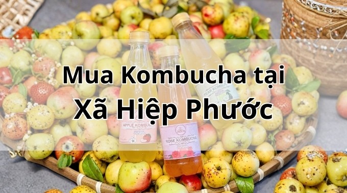 Top 5 địa chỉ bán Kombucha uy tín tại Xã Hiệp Phước TpHCM