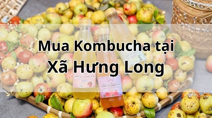 Top 5 địa chỉ bán Kombucha uy tín tại Xã Hưng Long TpHCM