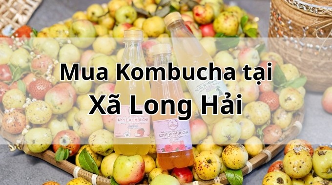 Top 5 địa chỉ bán Kombucha uy tín tại Xã Long Hải TpHCM