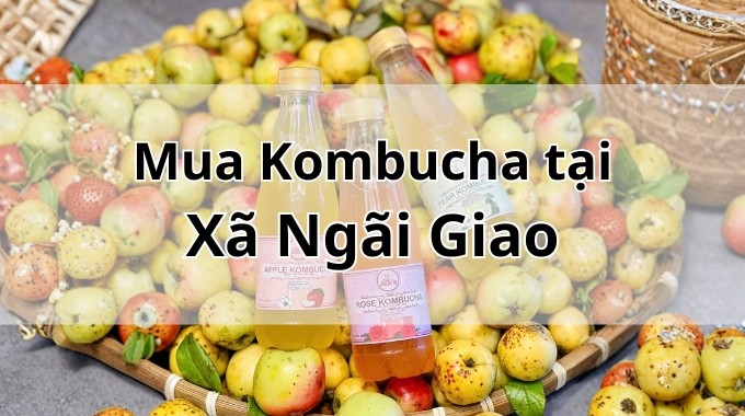 Top 5 địa chỉ bán Kombucha uy tín tại Xã Ngãi Giao TpHCM
