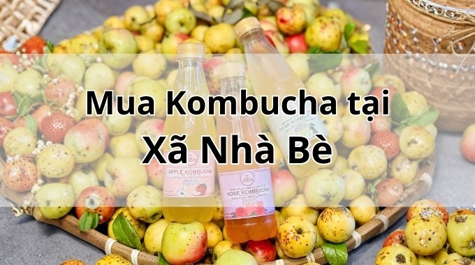 Top 5 địa chỉ bán Kombucha uy tín tại Xã Nhà Bè TpHCM
