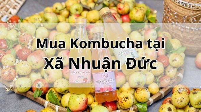 Top 5 địa chỉ bán Kombucha uy tín tại Xã Nhuận Đức TpHCM