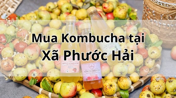 Top 5 địa chỉ bán Kombucha uy tín tại Xã Phước Hải TpHCM