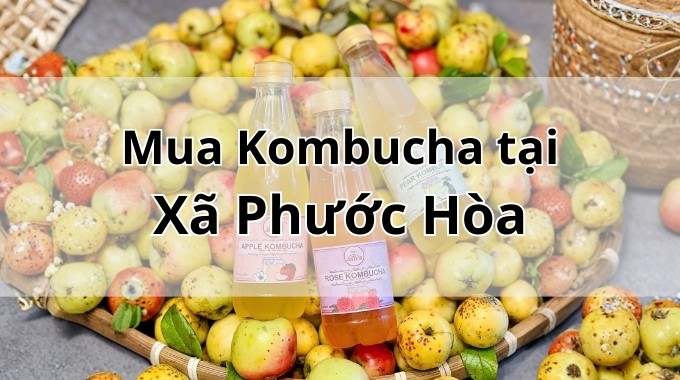 Top 5 địa chỉ bán Kombucha uy tín tại Xã Phước Hòa TpHCM