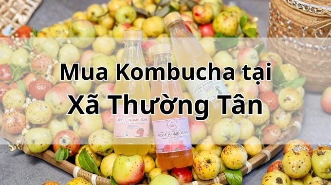 Top 5 địa chỉ bán Kombucha uy tín tại Xã Thường Tân TpHCM