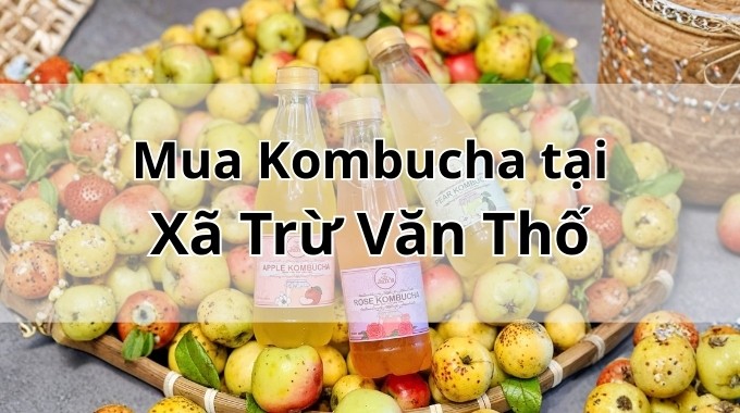 Top 5 địa chỉ bán Kombucha uy tín tại Xã Trừ Văn Thố TpHCM