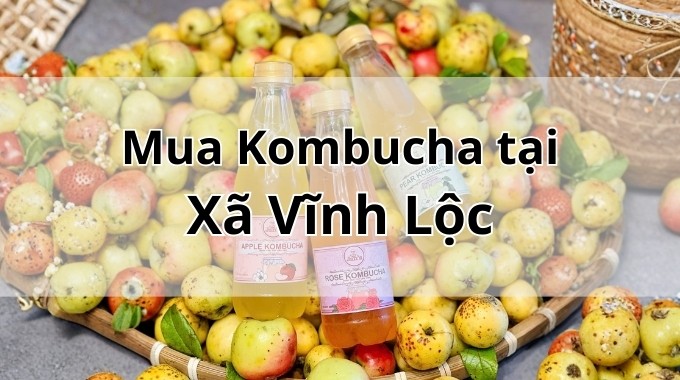 Top 5 địa chỉ bán Kombucha uy tín tại Xã Vĩnh Lộc TpHCM