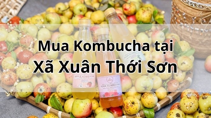 Top 5 địa chỉ bán Kombucha uy tín tại Xã Xuân Thới Sơn TpHCM